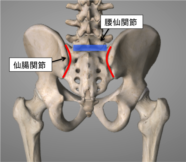 足首捻挫後の腰痛