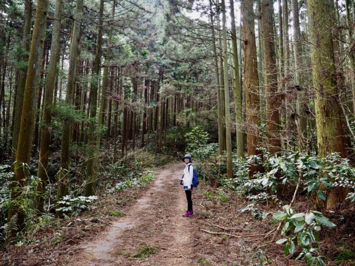 小倉南区の貫山へ登山に行きました