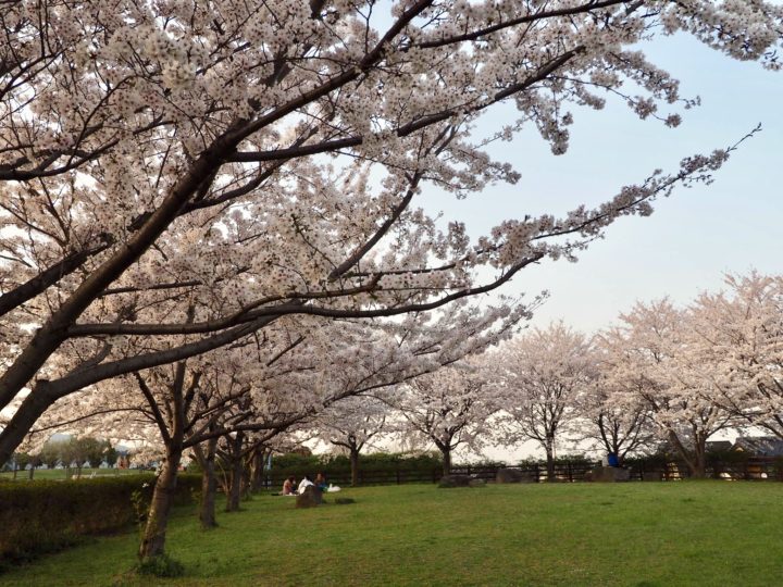 苅田町にある大熊公園