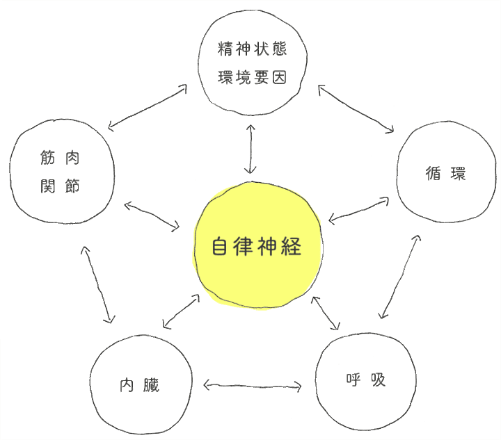 自律神経を整えるには①