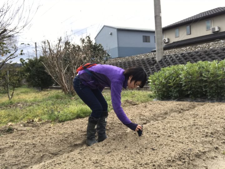 家庭菜園記録