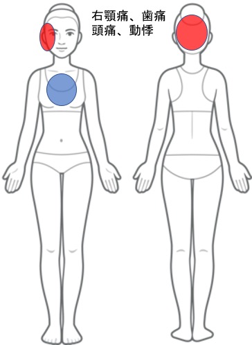 右顎痛、歯痛、頭痛、動悸、耳鳴り