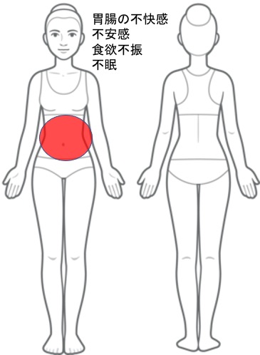 不安感・胃腸の不快感・食欲不振・不眠