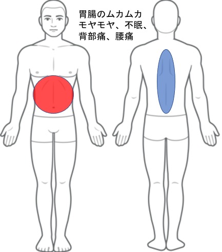 背部、腰痛、胃・腸の調子が悪い