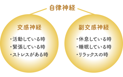 40代から増える自律神経の不調と、整体でできること  〜何となくの不調を放っておかないために〜