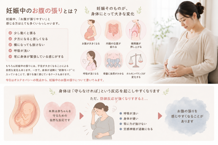 【妊娠中の不調】お腹の張りとオステオパシーにできること