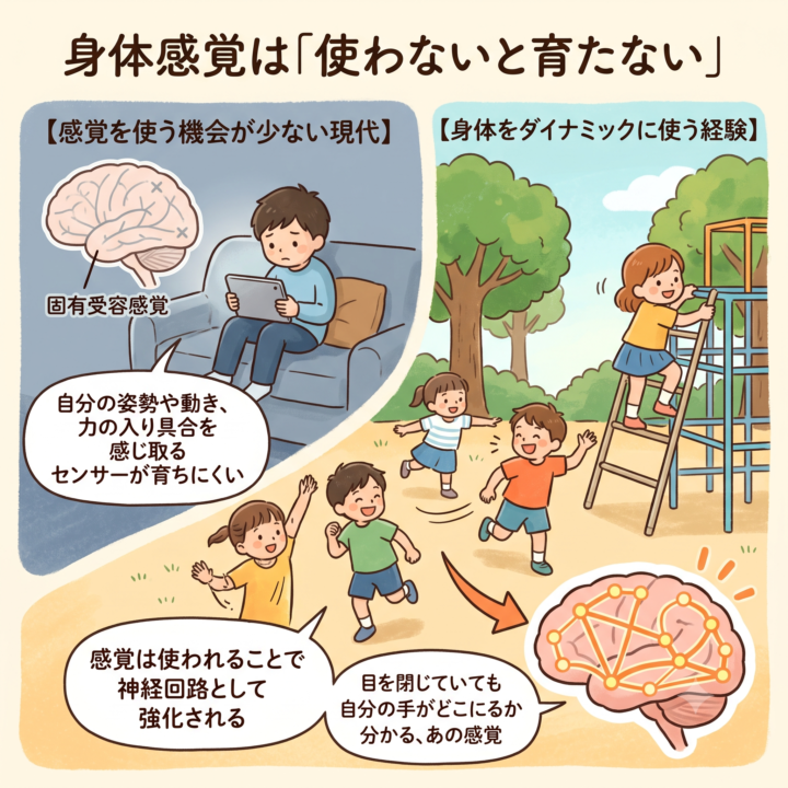 朝起きられないわが子へ ― 身体感覚と自律神経の意外な関係